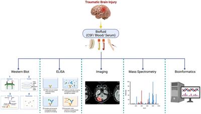 Advances in neuroproteomics for neurotrauma: unraveling insights for personalized medicine and future prospects
